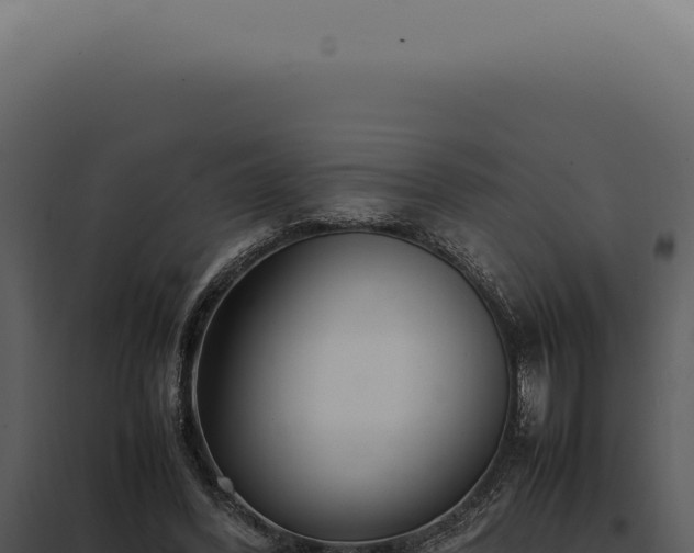 X0000097980396200804011749