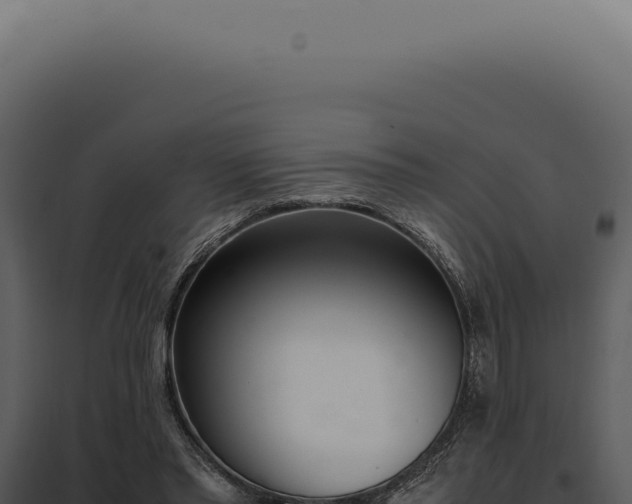X0000097980397200804011749