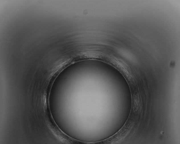 X0000097980398200804011749
