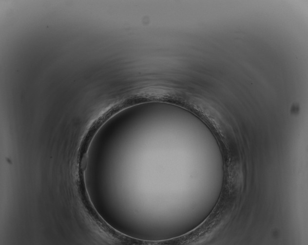 X0000097980399200804011749