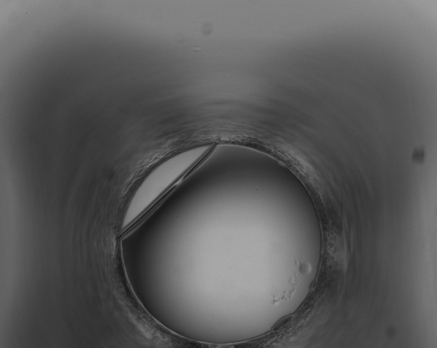 X0000097980401200804011749