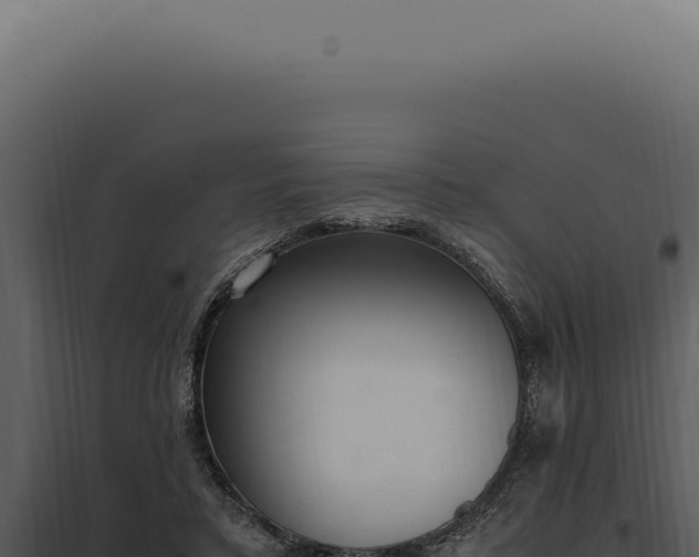 X0000097980403200804011749