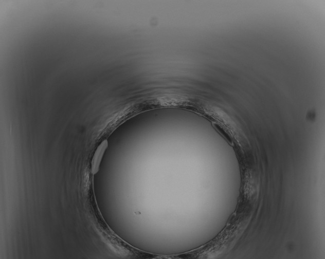 X0000097980405200804011749