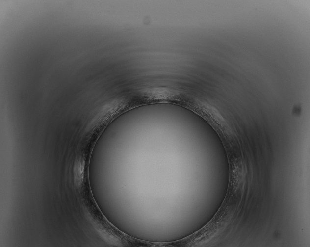 X0000097980406200804011749