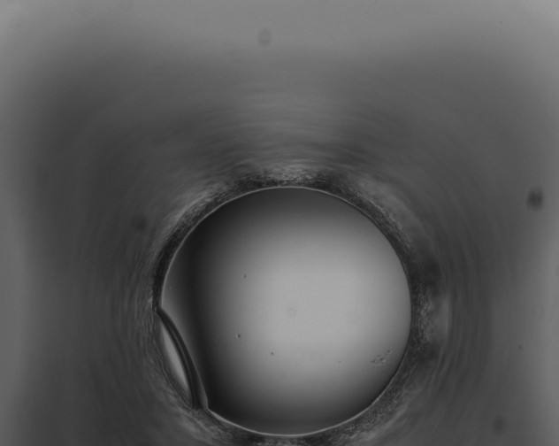 X0000097980407200804011749