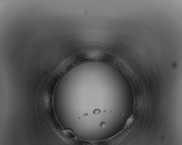 X0000097980408200804011749