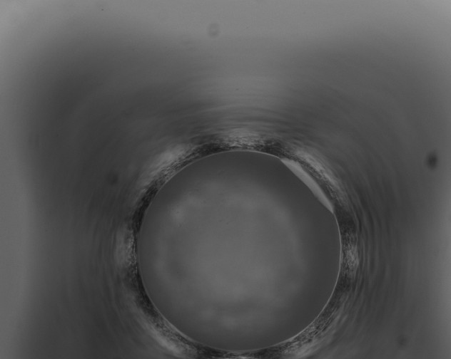 X0000097980411200804011749