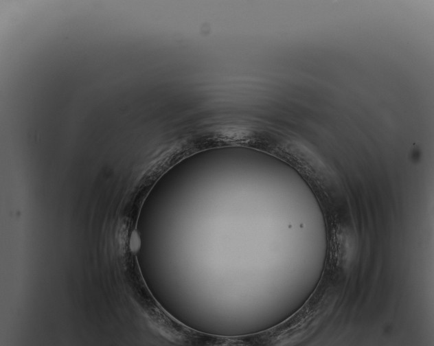 X0000097980412200804011749