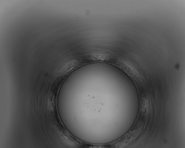 X0000097980414200804011749
