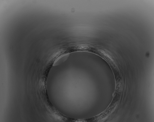 X0000097980415200804011749