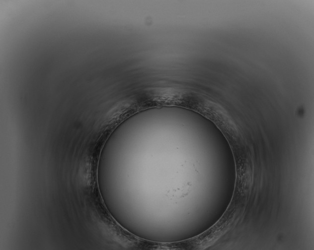 X0000097980416200804011749
