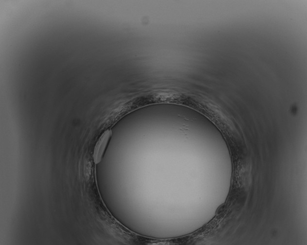 X0000097980417200804011749