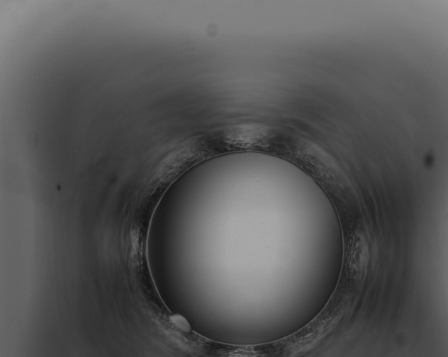 X0000097980420200804011749