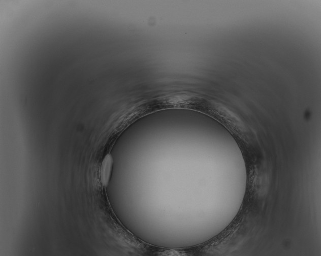 X0000097980421200804011749