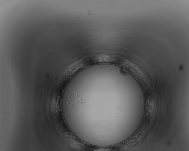 X0000097980422200804011749