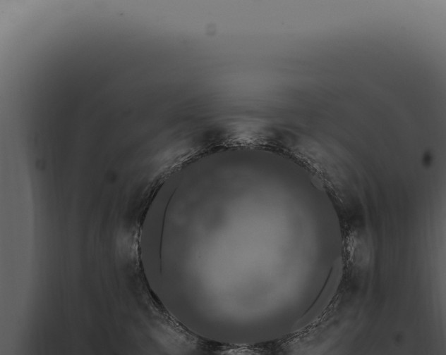 X0000097980423200804011749