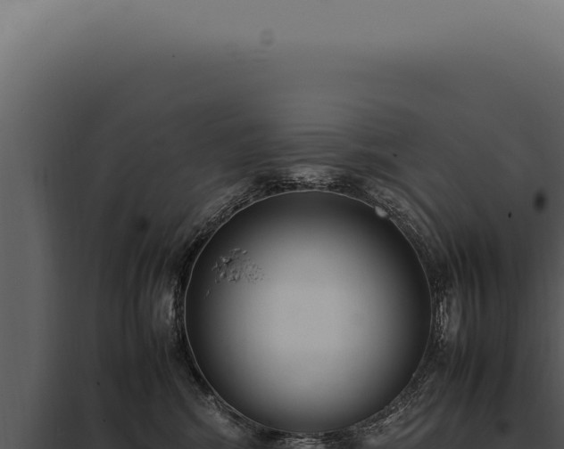 X0000097980424200804011749