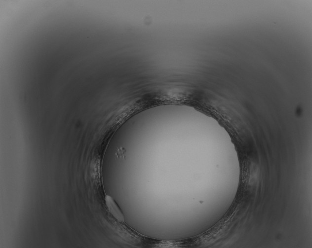 X0000097980425200804011749