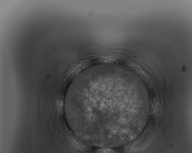 X0000097980427200804011749