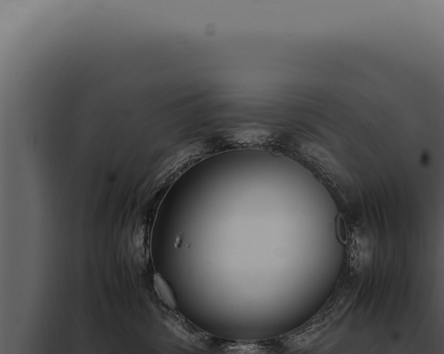 X0000097980428200804011749
