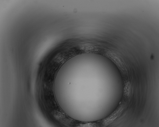 X0000097980430200804011749