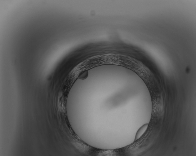 X0000097980431200804011749