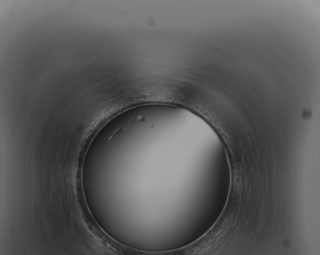 X0000097980434200804011748