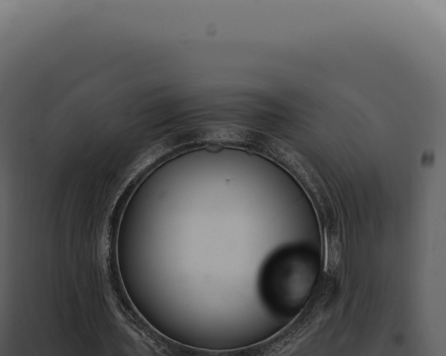 X0000097980435200804011748