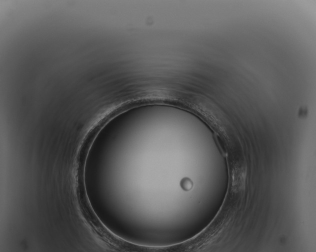 X0000097980436200804011748
