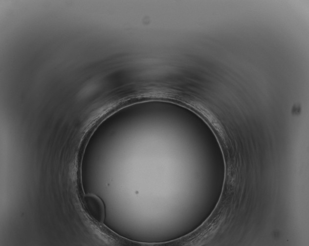 X0000097980437200804011748