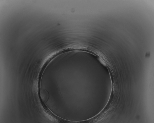 X0000097980438200804011748