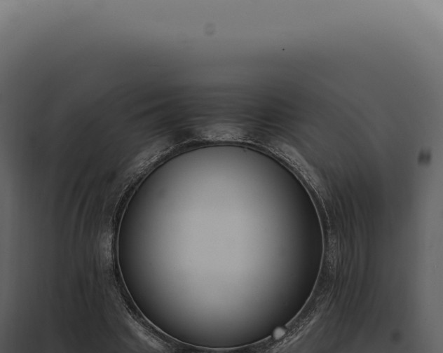 X0000097980441200804011748