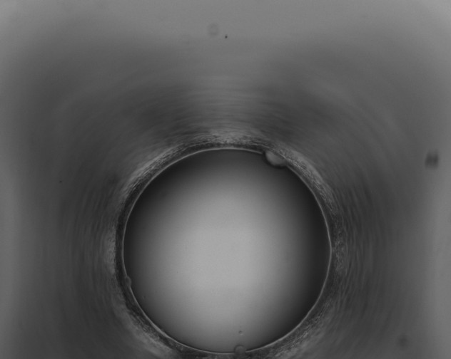 X0000097980442200804011748