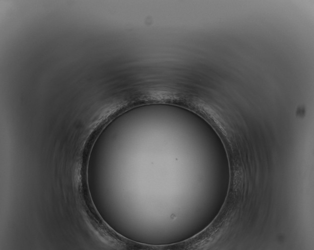 X0000097980443200804011748