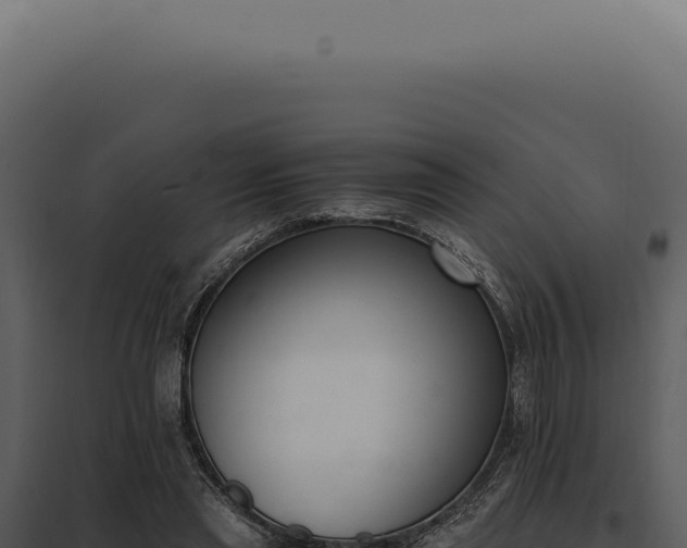X0000097980445200804011748