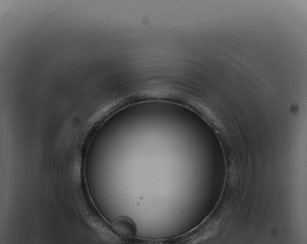 X0000097980446200804011748