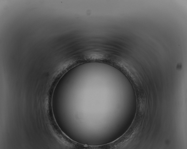 X0000097980447200804011748