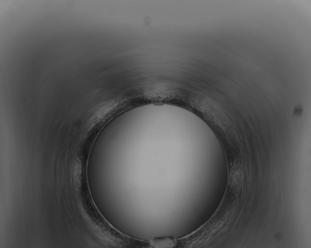 X0000097980448200804011748