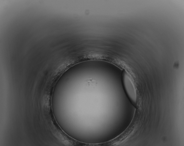 X0000097980449200804011748