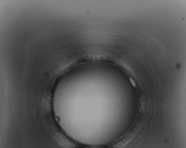 X0000097980450200804011748
