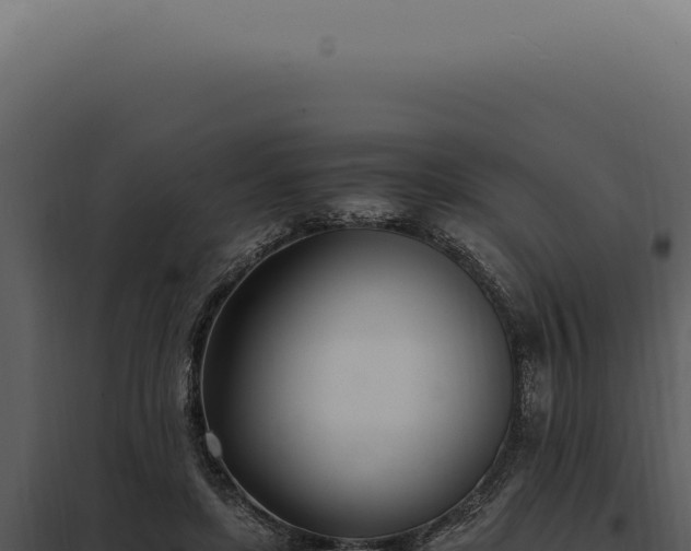 X0000097980451200804011748