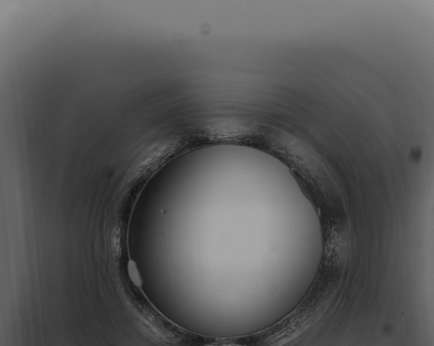 X0000097980452200804011748