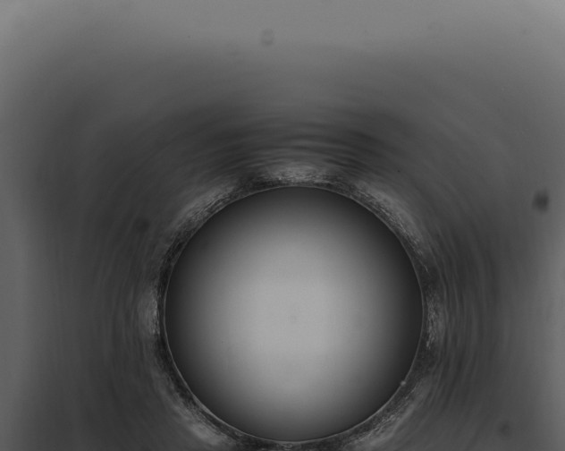 X0000097980453200804011748