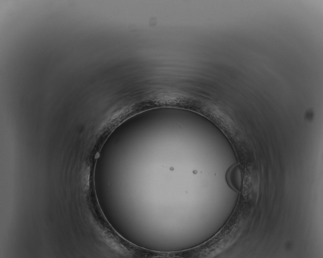 X0000097980454200804011748