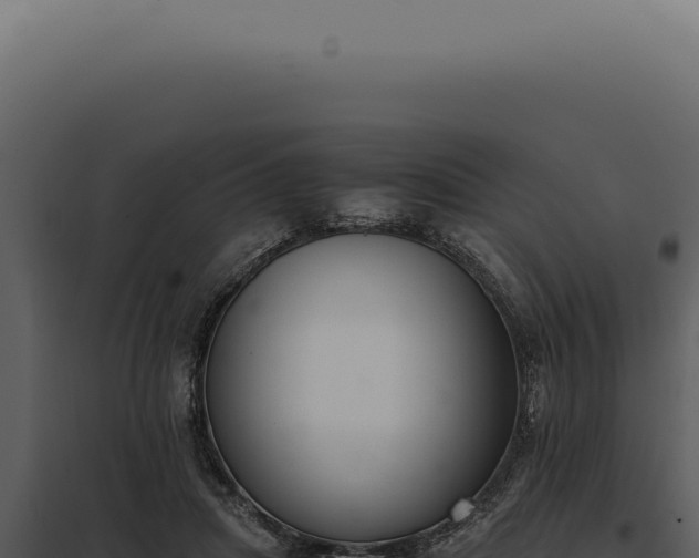 X0000097980455200804011748