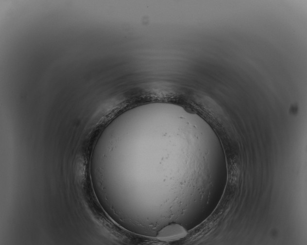 X0000097980456200804011748