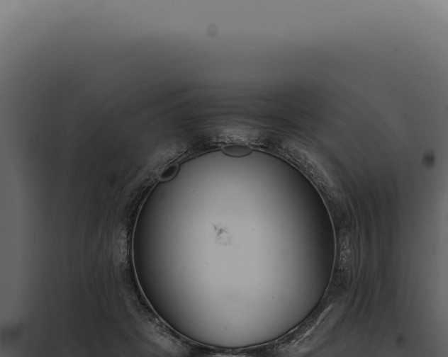 X0000097980457200804011748