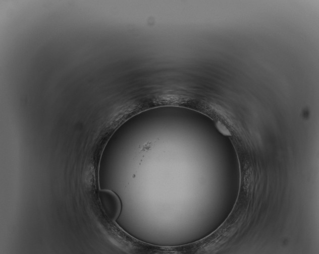 X0000097980459200804011748