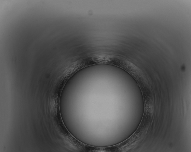 X0000097980460200804011748