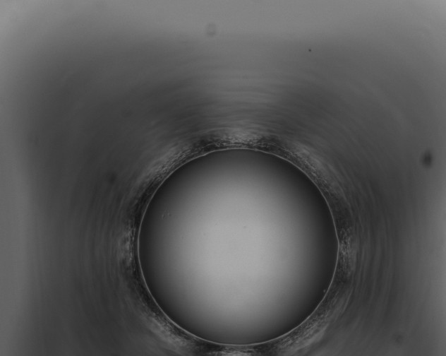 X0000097980462200804011748